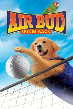 Air Bud Lovește din nou (2003) – Dublat în Română